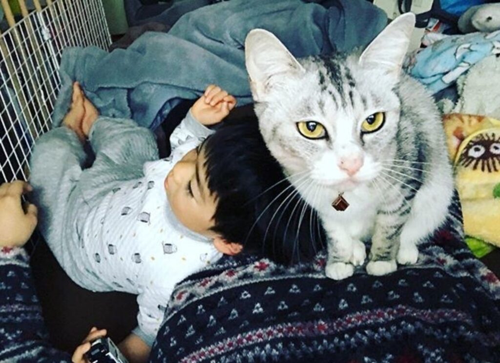 Autistic child obsessed with cat